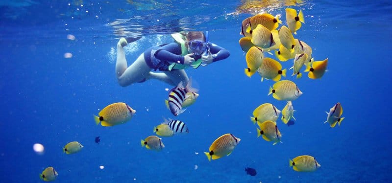 Hawaii Ocean Snorkeling